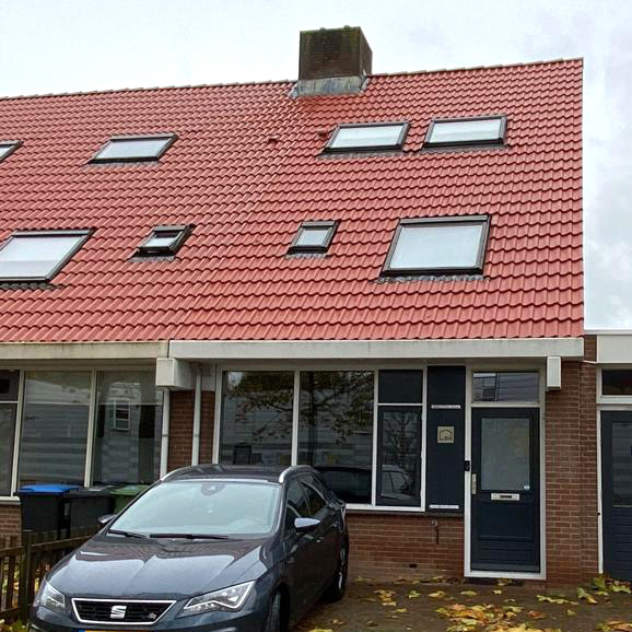 Dakpan renovatie-rood dak