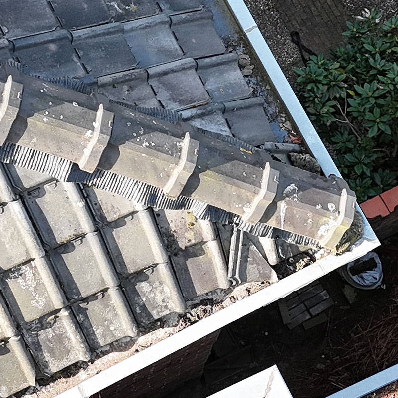Dakinspectie bij lekkage of vochtproblemen